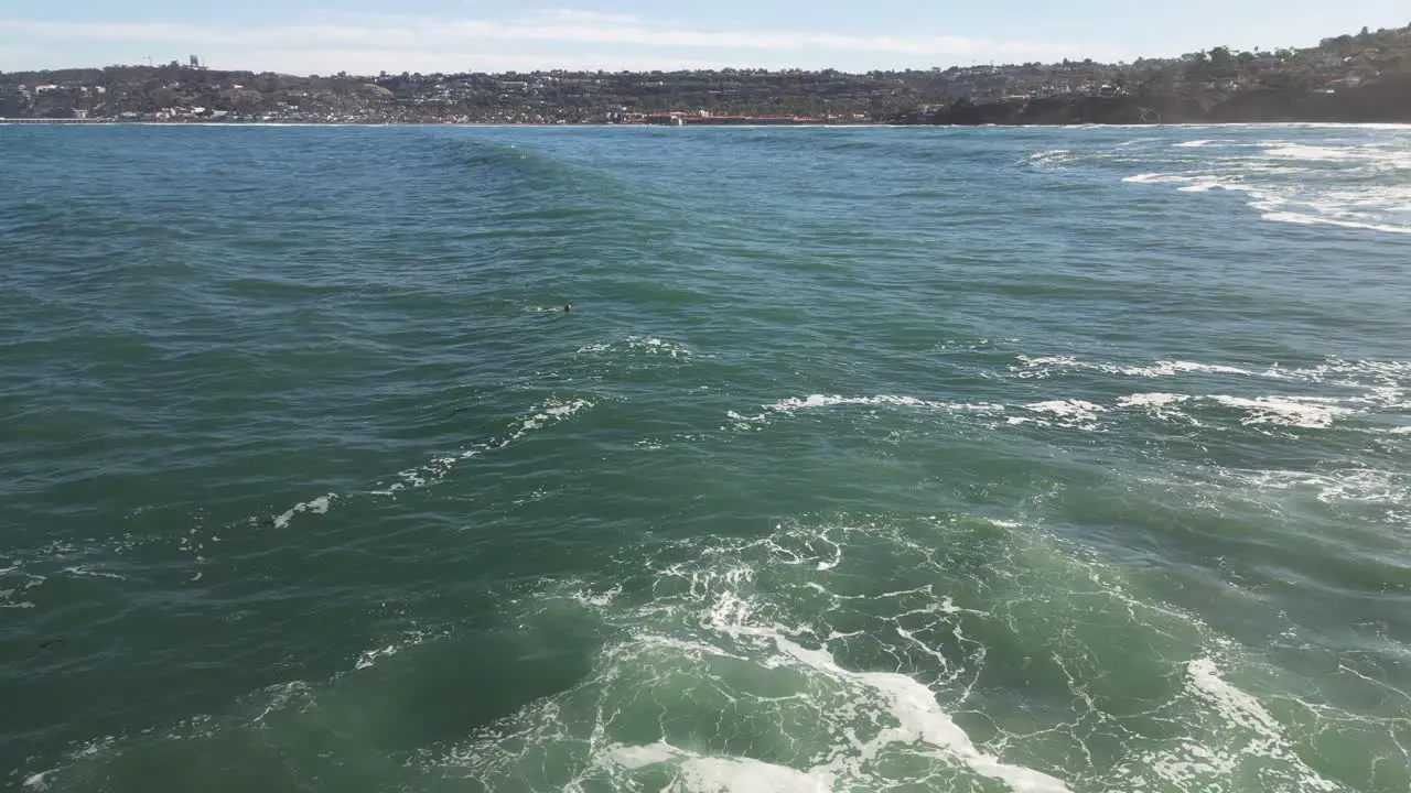 4K Footage of large ocean swimmer with large ocean waves crashing on cliffs at high tide in La Jolla Cove in San Diego California