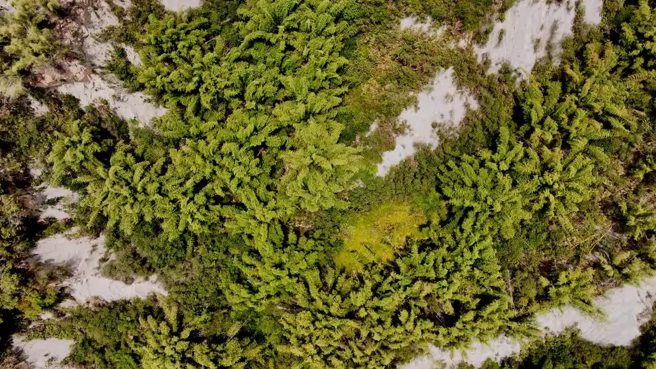 Aerial top down shot of green landscape covering moonscape mud volcano area in summer Taiwan Asia