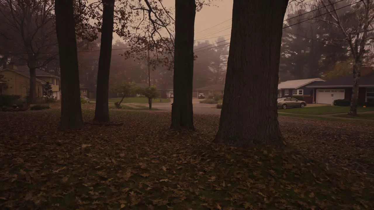 Halloween weather in a creepy suburban area