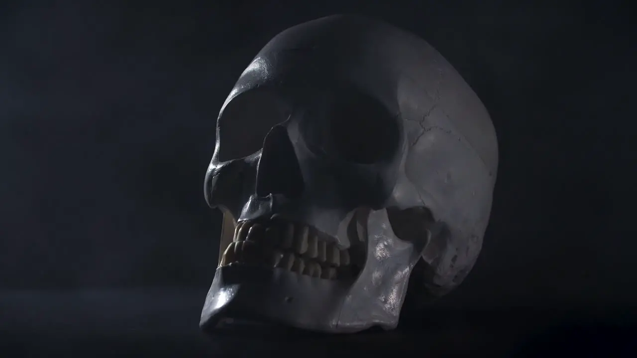 Human skull on a black smokey background