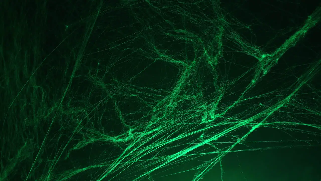 Halloween spooky green spider web in the dark and fog smoke