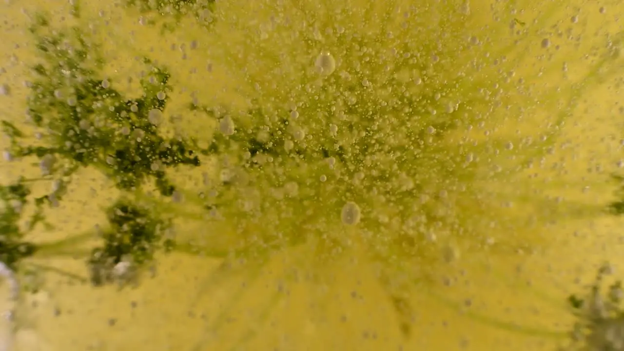 alien liquid botany experiments with bubble and debris movement and extreme depth 60fps