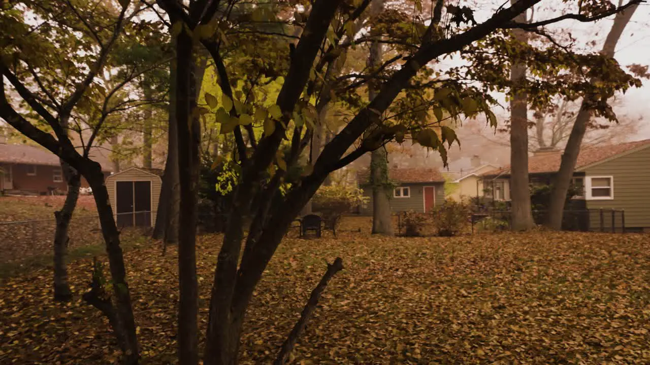 Fell trees in a suburban yard during fall