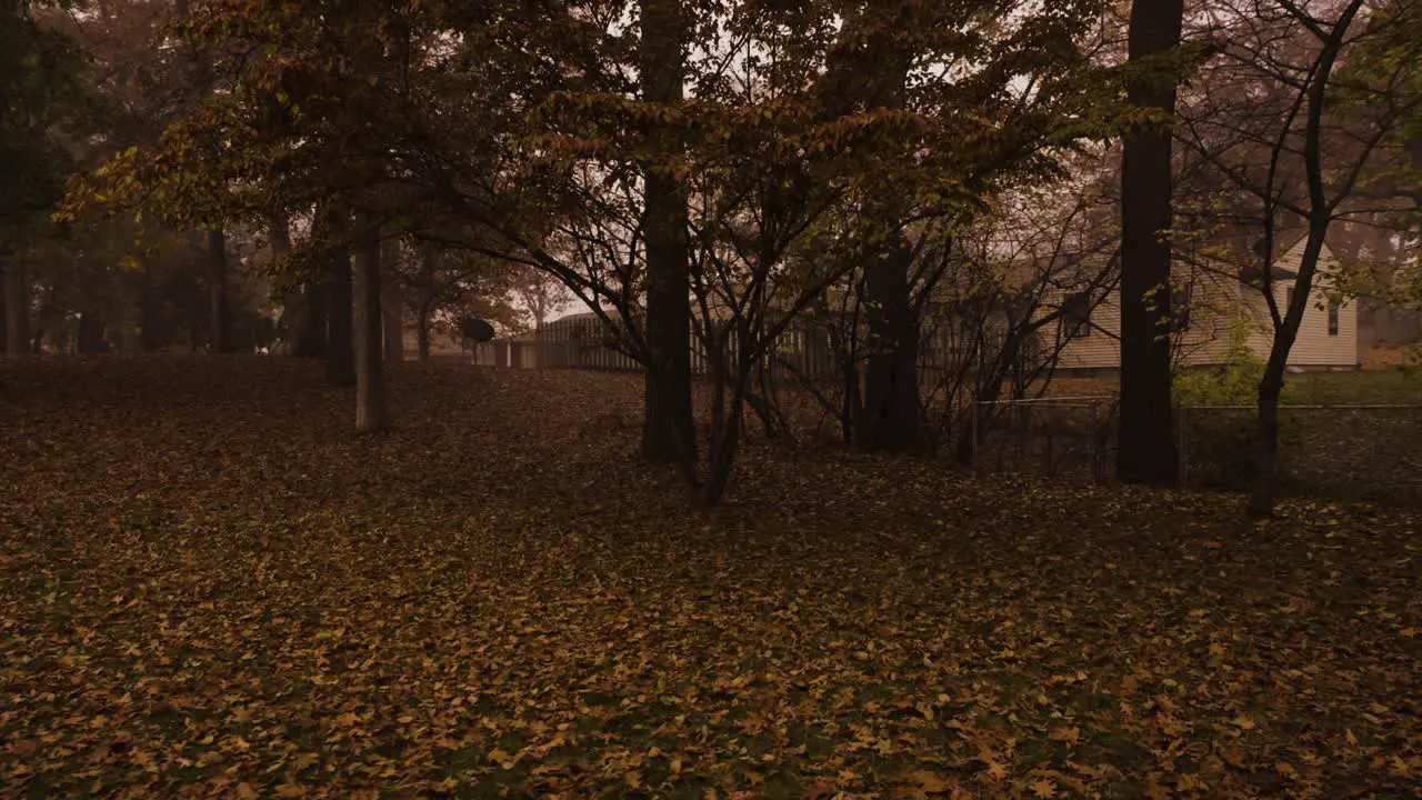 Smooth motion of a foggy Halloween Area