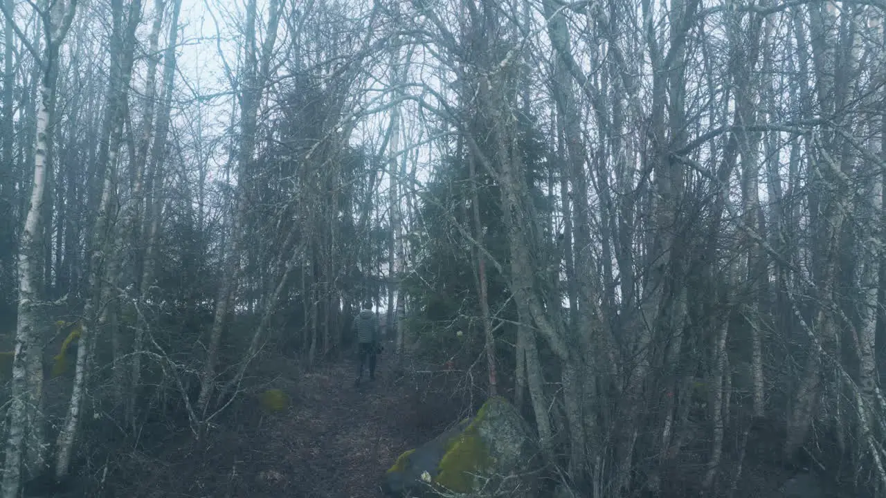 Man walking into scary misty forest dolly shot