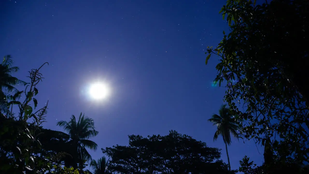 Clear sky night timelapse with moon stars and trees