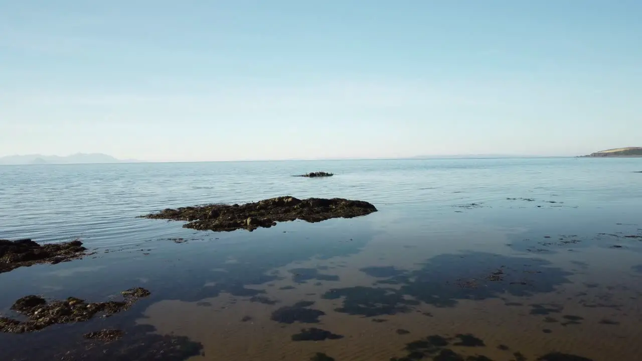 Drone flight going out to sea capturing birds taking off