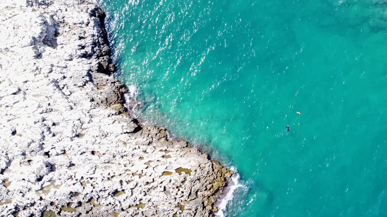 Top Down Vertical Aerial Shot People Swimming in Blue Coastal Water