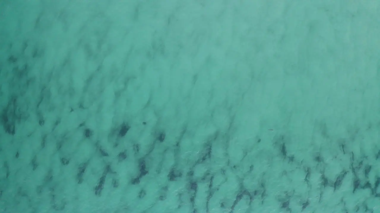 4k Drone top view shot of beautiful turquoise ocean water