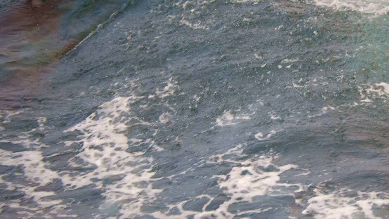 Pacific white-sided dolphins playing in waves