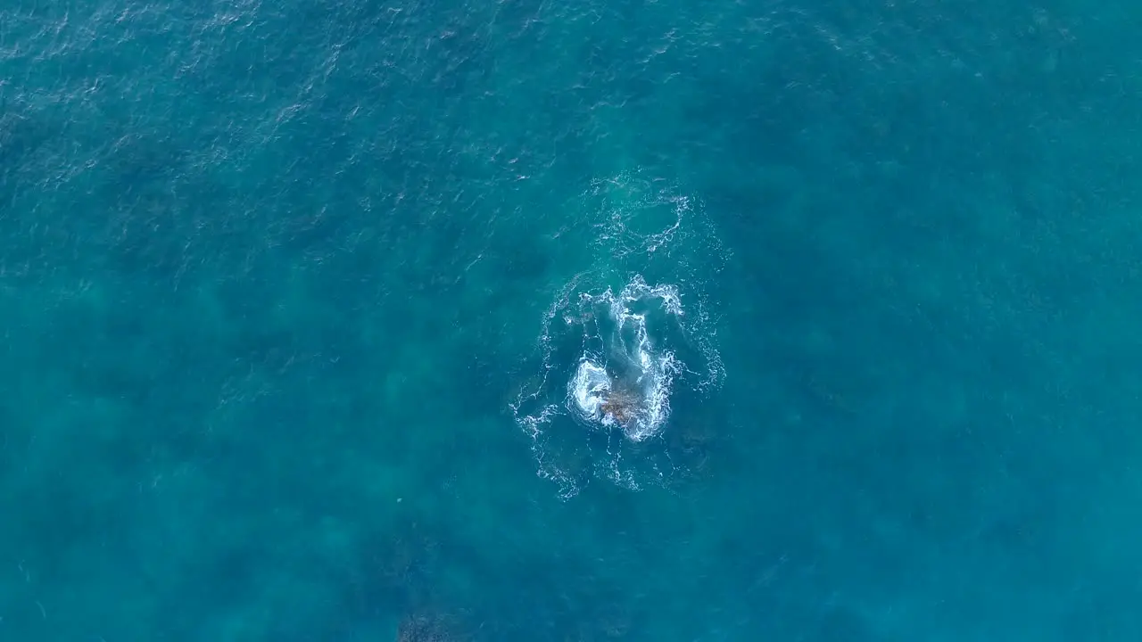 A Turbulent Rock In The Ocean A Beautiful Tropical Aerial Motion Scene with Fluid Texture