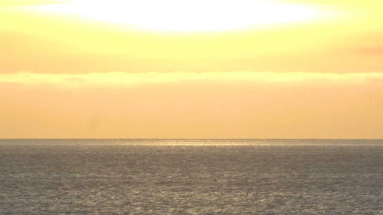 Aerial View Of A some seagulls Going Across The Water At Sunset