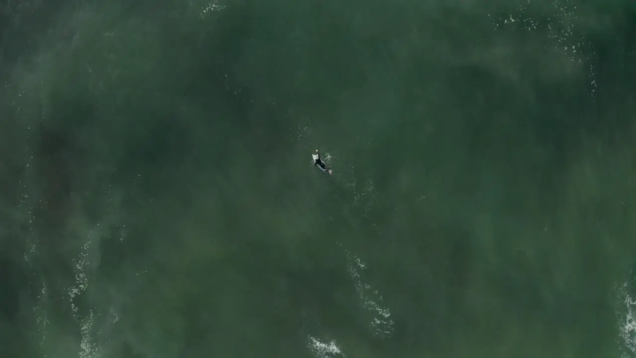 Lone surfer paddling out in to the waves of the ocean at Zumbujeira Portugal