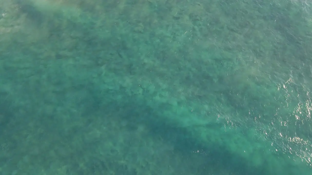 Aerial View Of Ocean Waves Rolling And Splashing On Coastal Cliffs Cylinder Beach In Point Lookout Queensland Australia