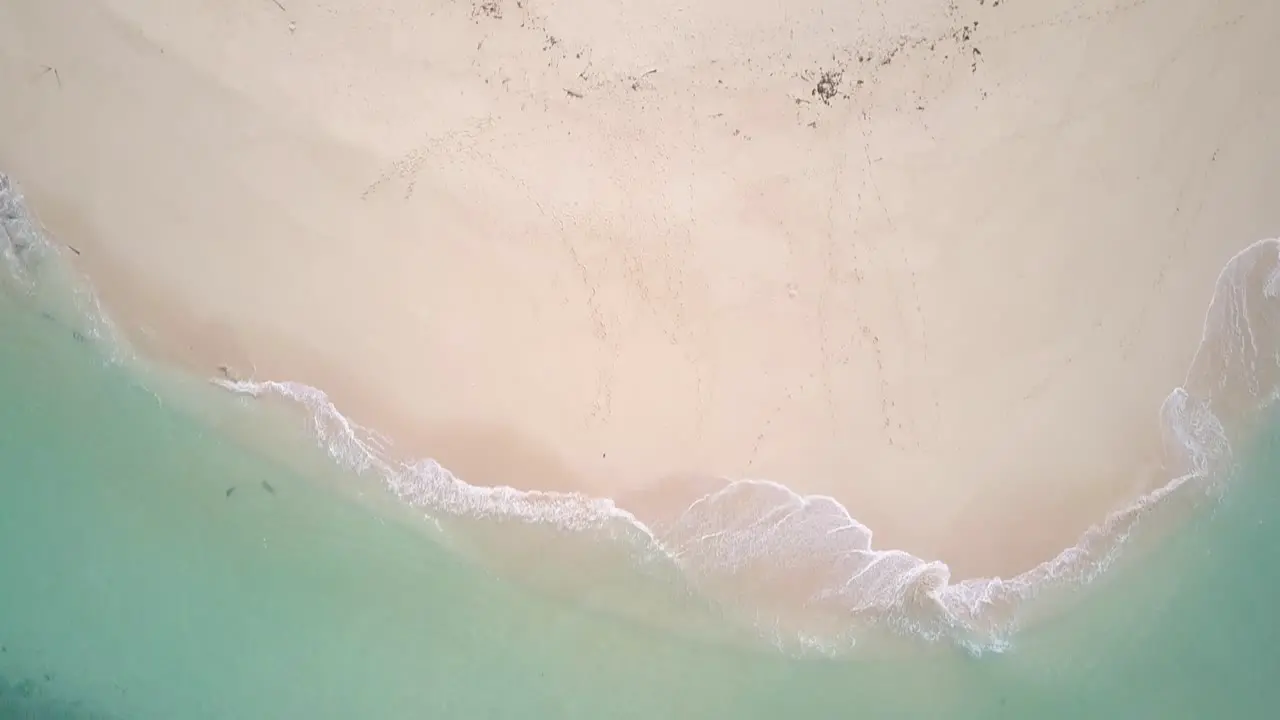 Aerial tracking shot from turquoise waters to beautiful beach with palm trees and beach umbrellas on Siargao the Philippines