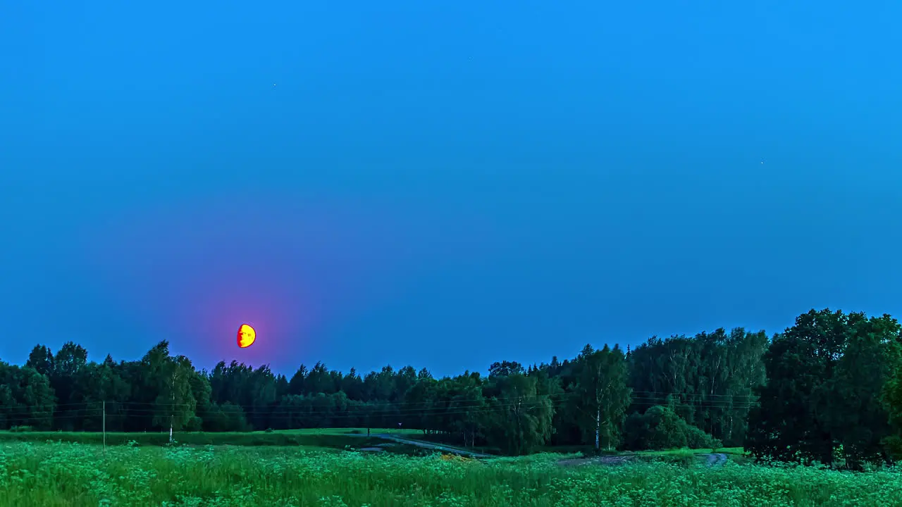 Static view of setting moon over the green grasslands with forest in the background