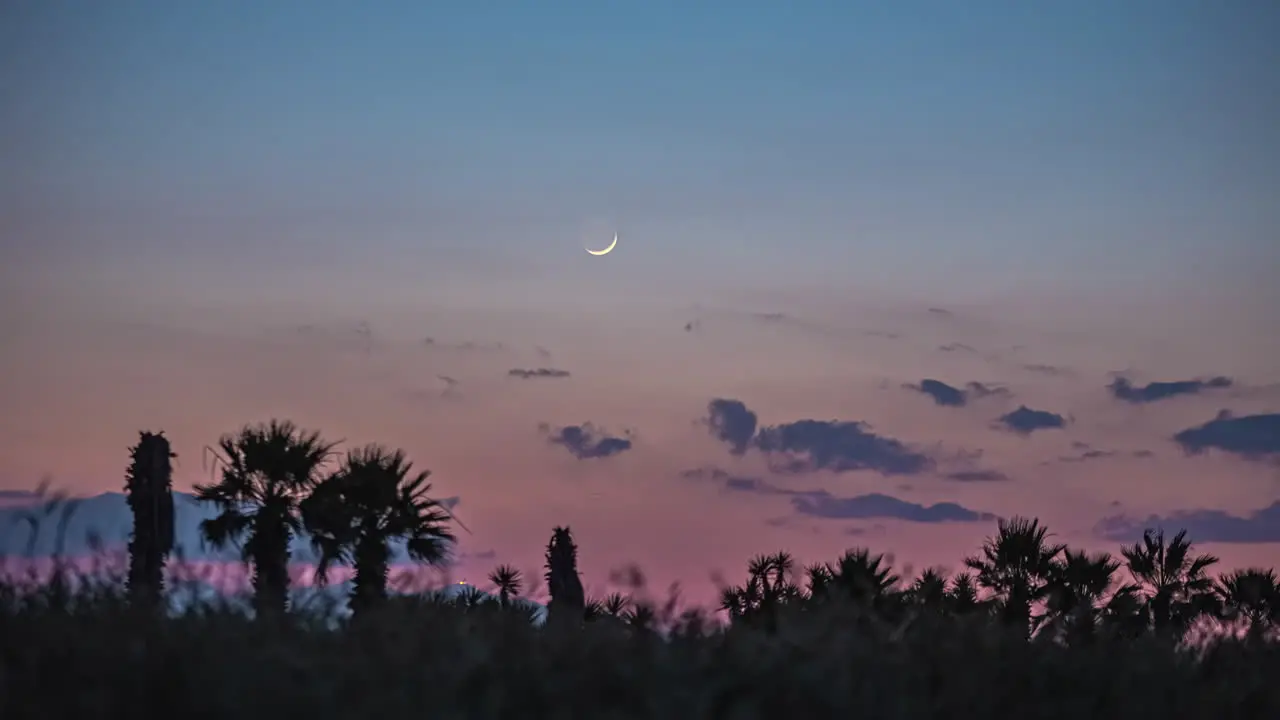 Thin crescent moon setting over wispy clouds and desert landscape with cactus to night sky