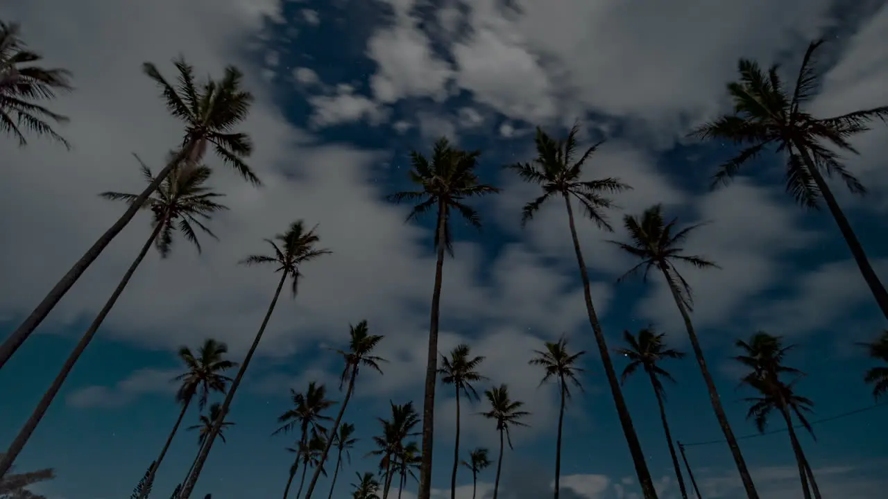 Time lapse of moonlit cloudscape at night full moon sky over tall palm trees