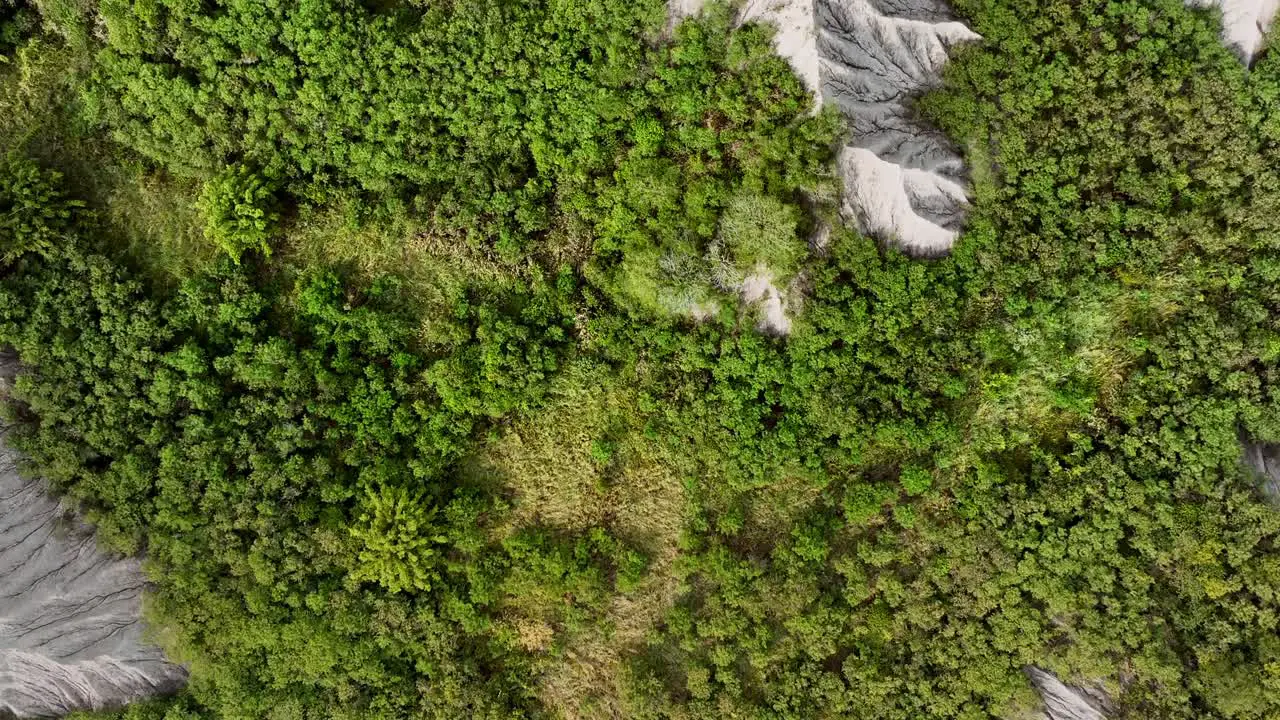 Aerial top down flight over vegetated lunar landscape with moonscape mountains in Taiwan at sunny day