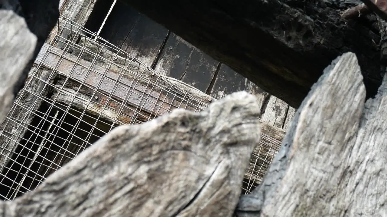 Abandoned vintage weathered burnt wooden textured timber planking and rusted steel mesh dolly right