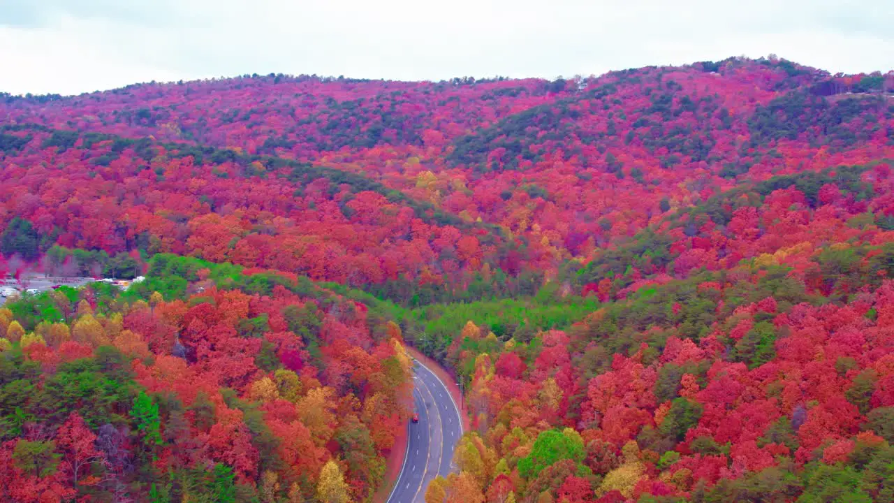 multi coloured nature viewed from birds view juicy dreamy location out of the world heaven on earth red yellow green trees mountains parking space road through greenery car drives by Dalton Georgia