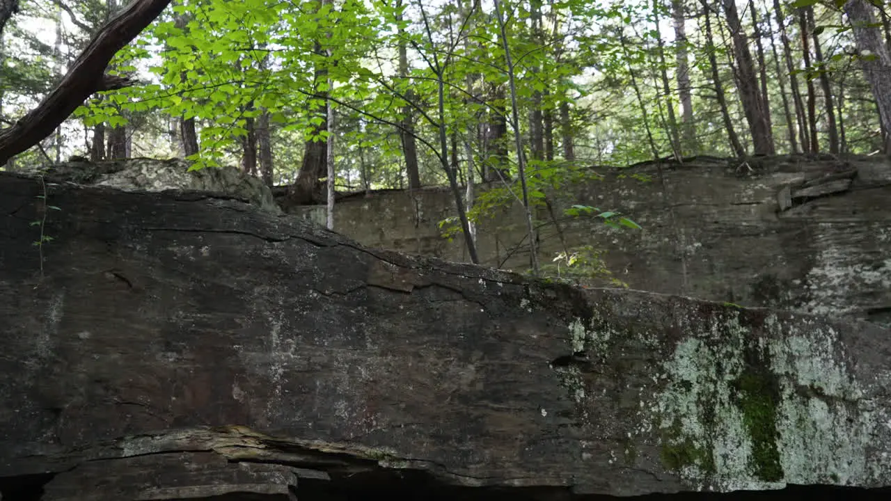 Black stone background in a forest tilt shot