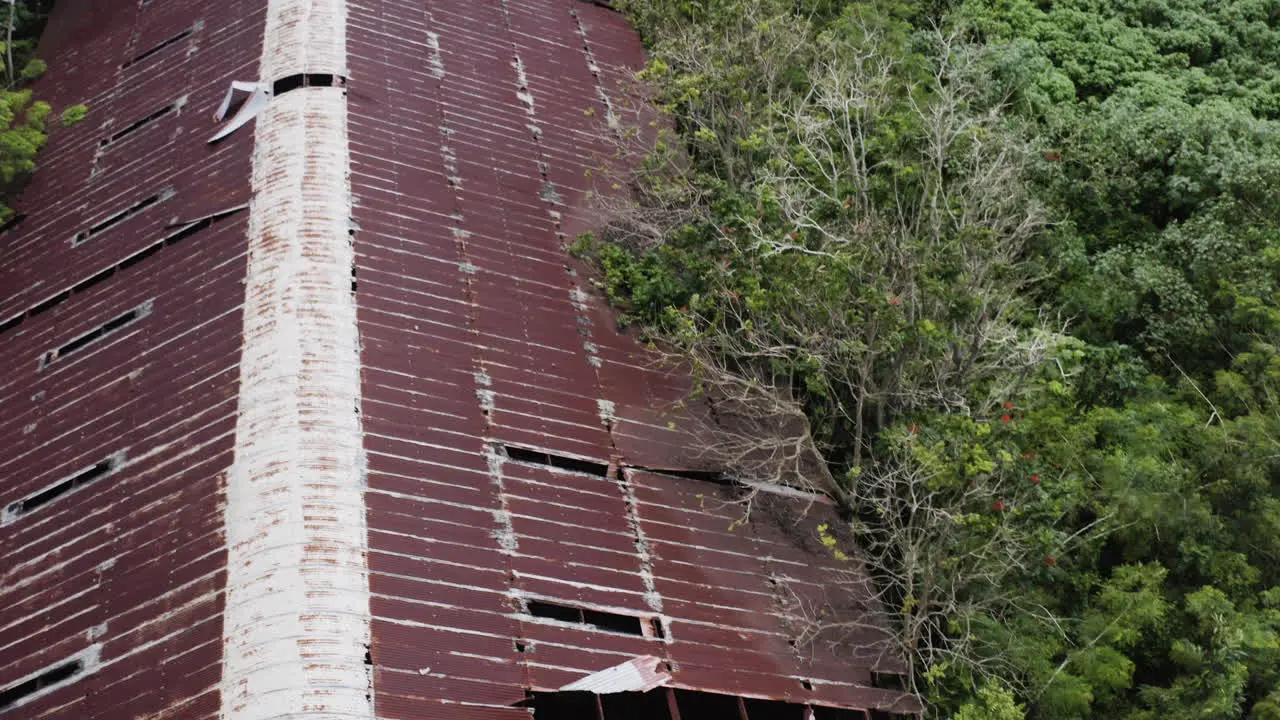 Mother Nature reclaiming an old rusty and long-forgotten warehouse in Puerto Rico