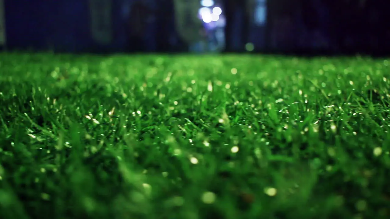 Green grass Closeup Lawn close up Grass background Green grass soccer field