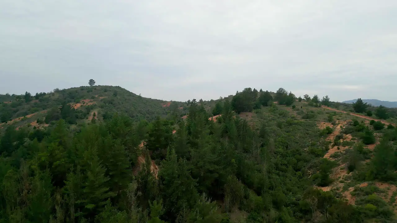 Curauma drone shot Valparaiso Chile forest