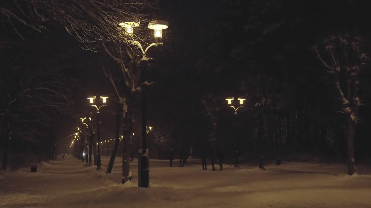 Winter park with glowing lamp poles during snowfall static view