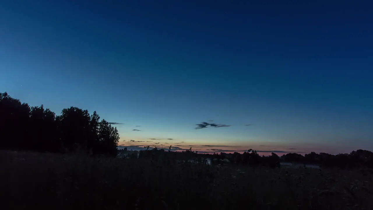 Dark silhouettes of trees and landscape at night