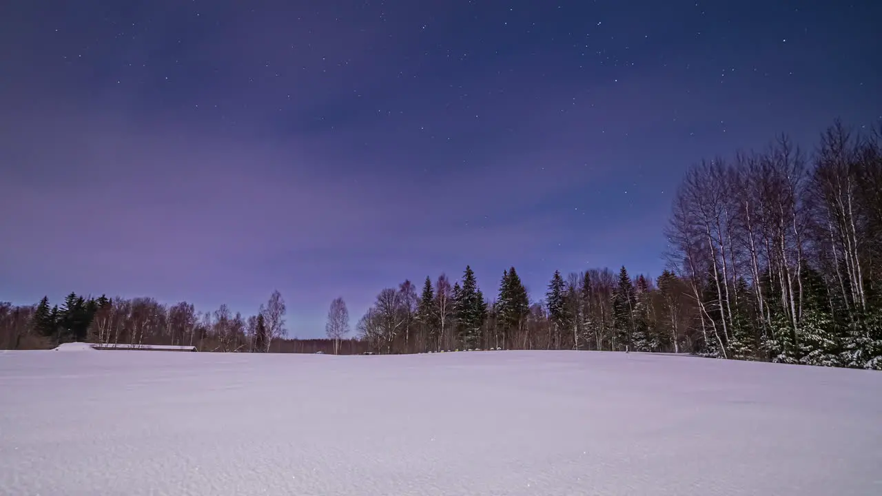 Evening to night fusion time lapse of woodland in winter season