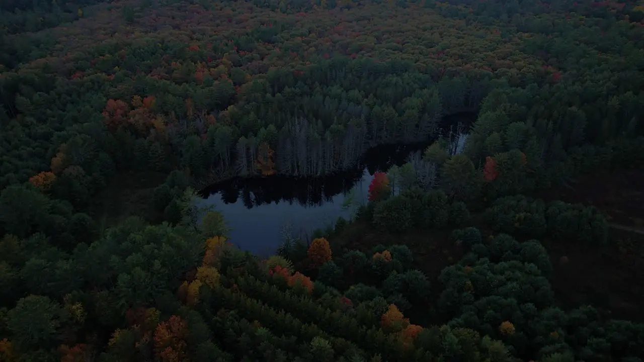 Stunning aerial drone video footage of colorful autumn canopy and woodland pond at night