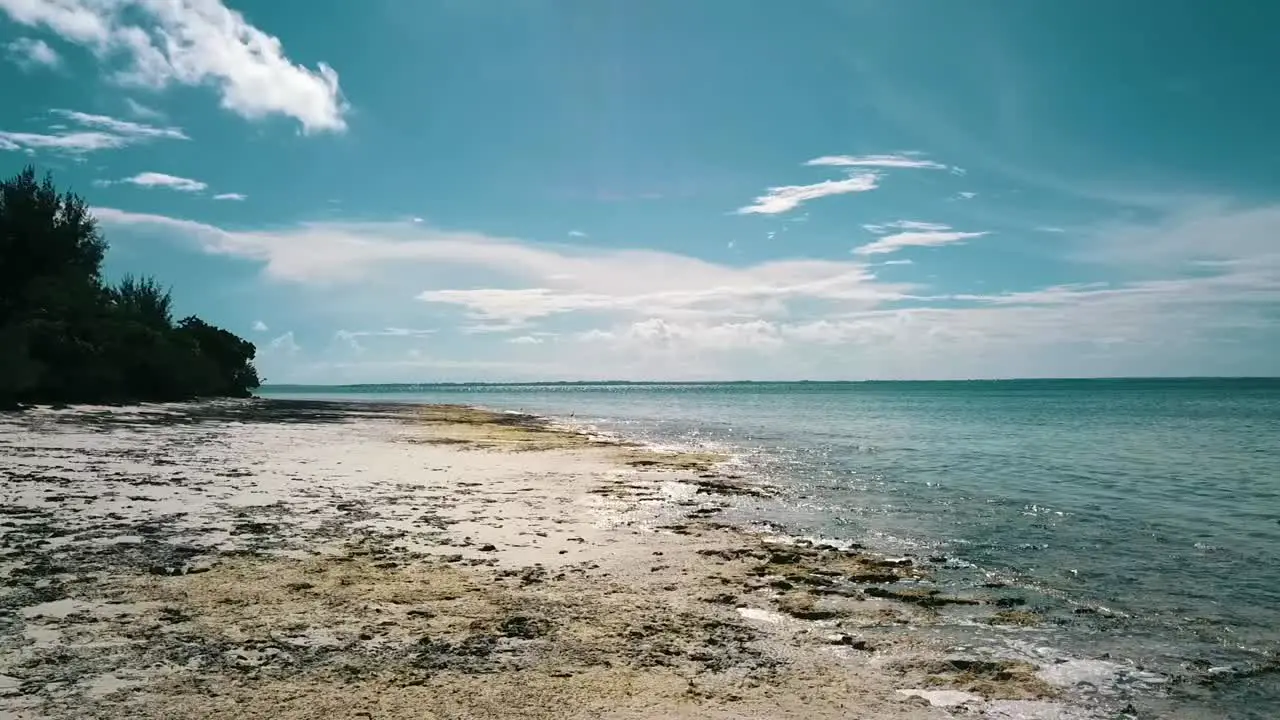 Smooth forwards slowly rise up drone shot at midday noon time at a lonely bird dream beach