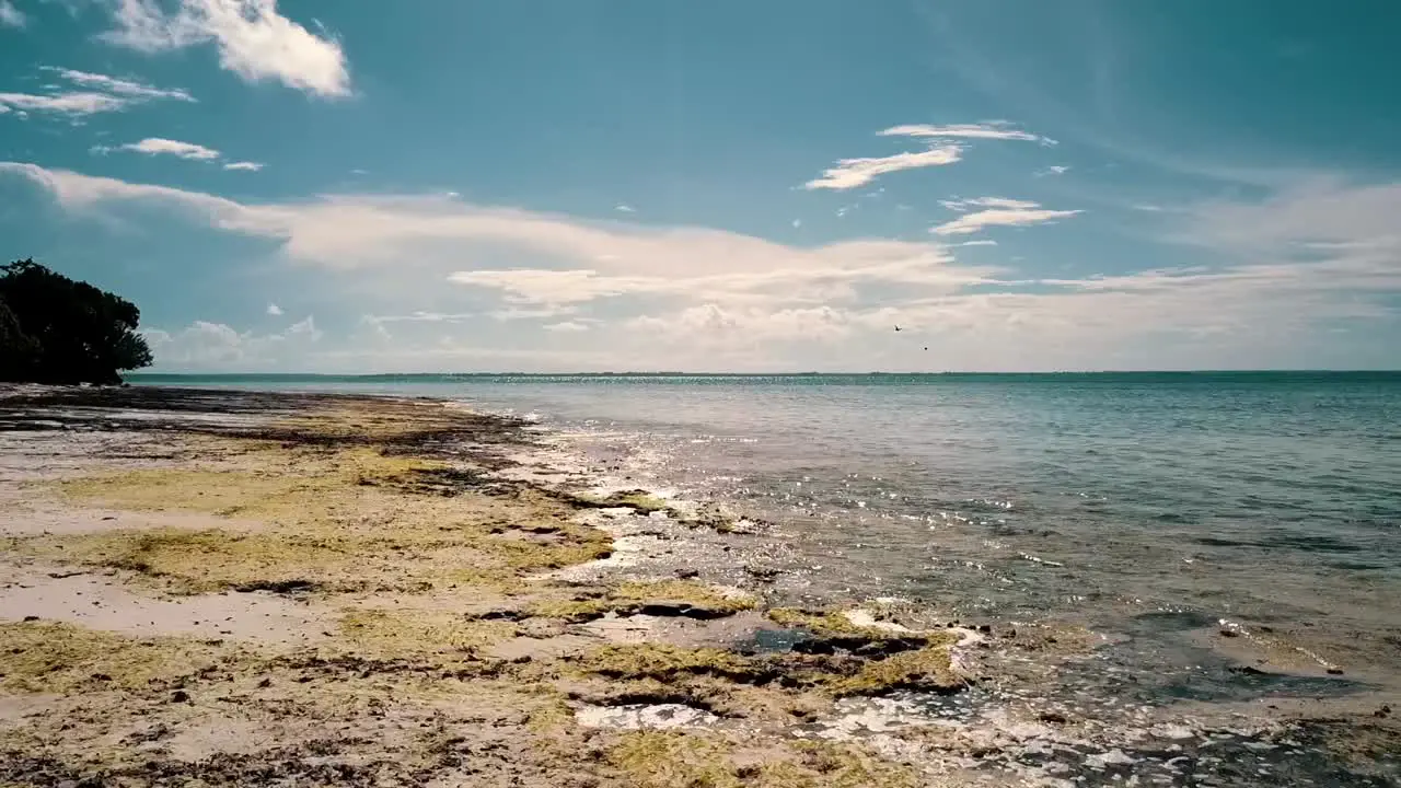 Unbelievable backwards slowly sinking down drone shot at midday noon time at a lonely dream beach