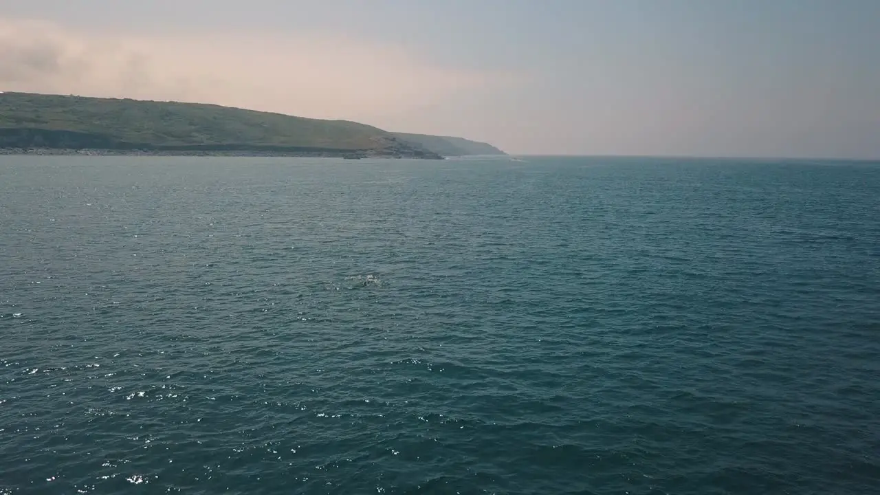 Pod of dolphins swimming off Cornwall coast United Kingdom aerial follow view