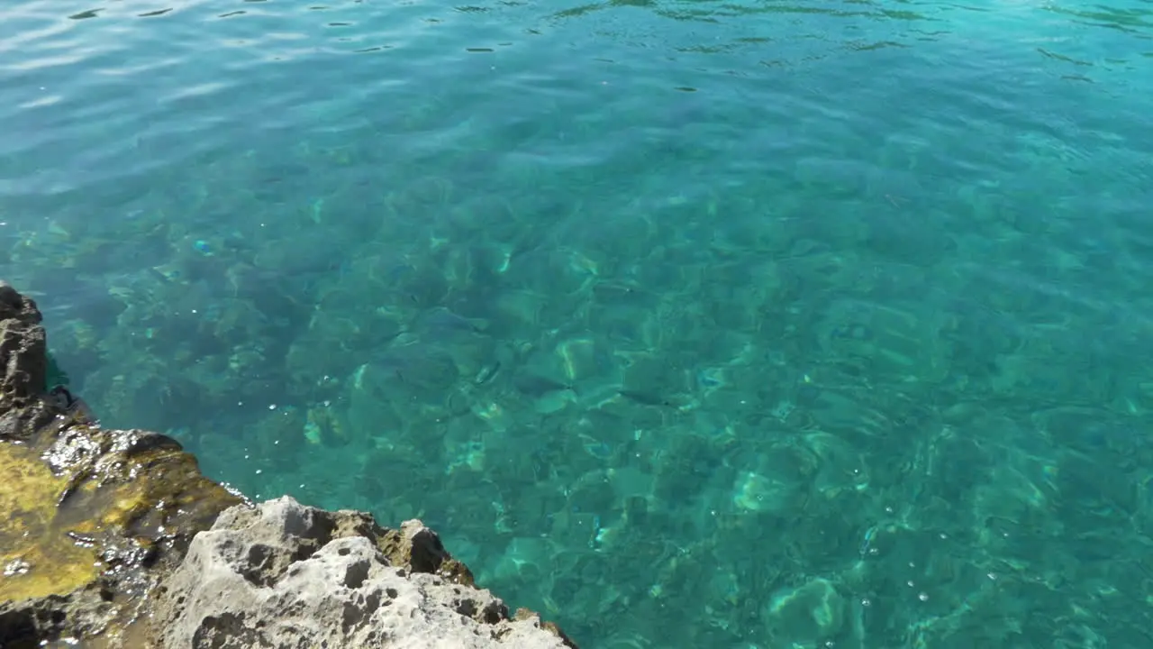 Fish swimming in the water visible since the rocks in the edge of sea turquoise and transparent water