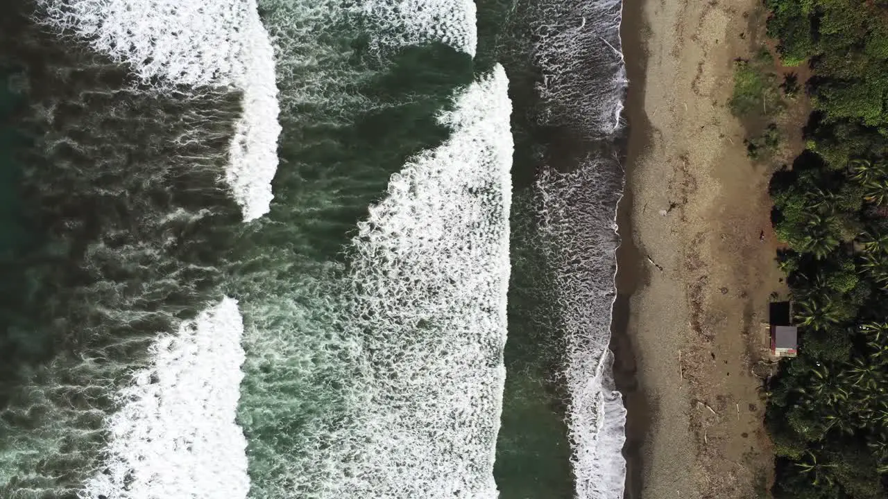 Top Down Aerial View of Tropical Beach and Turquoise Ocean Waves