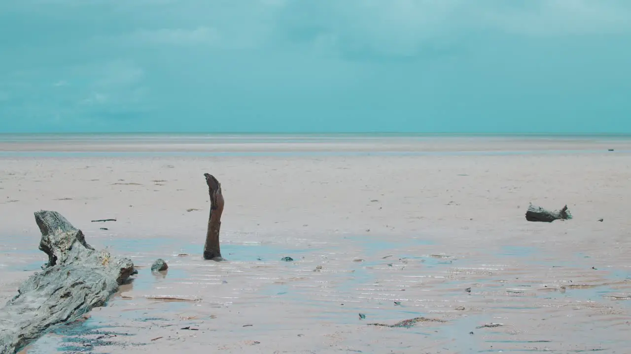 Dead logs and branches sit in the wet sand as small veins of water stretch from the shore of the low tide beach to the distant ocean where an angry storm is forming