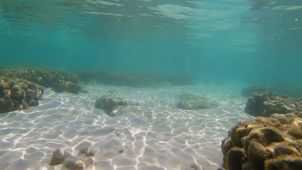 Diving in the pristine clear waters of Thailand- Underwater shot