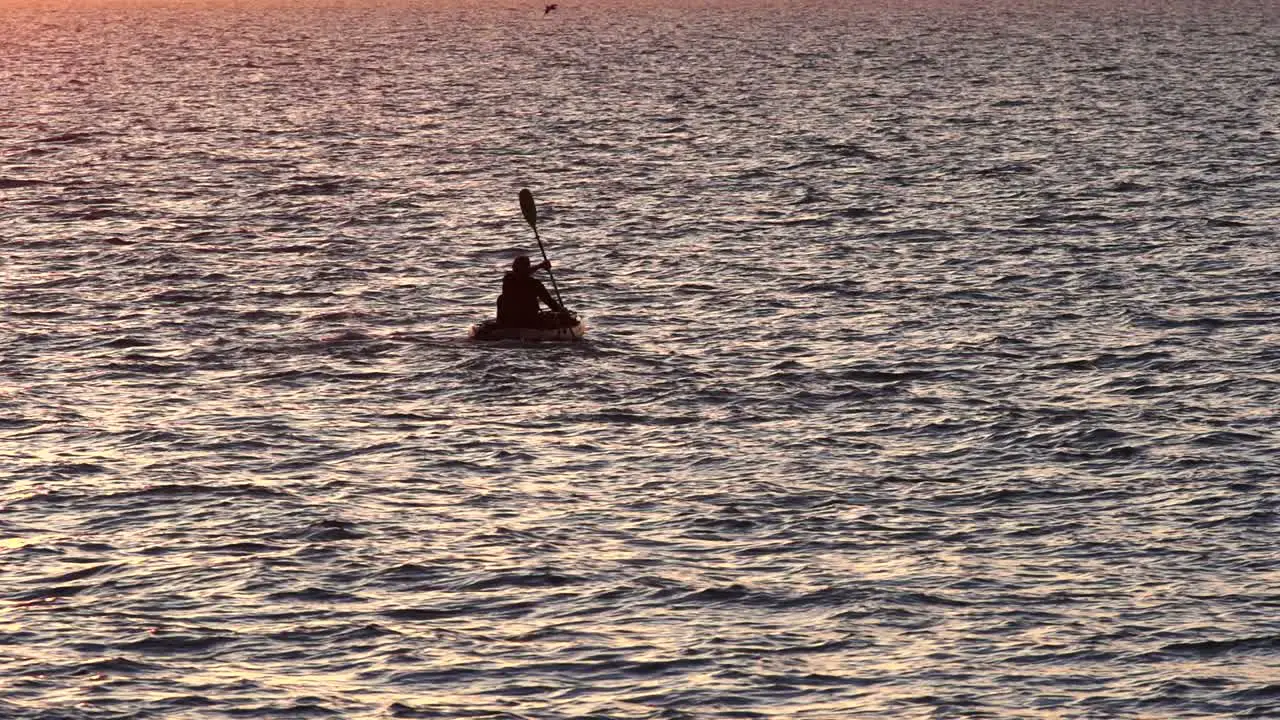 Slow Motion Kayak Silhouette with pelican flying close by