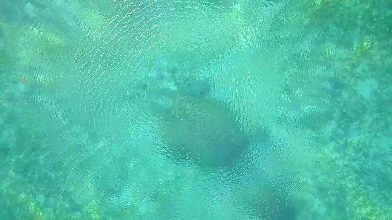 Aerial flight over crystal clear water and turtle in Malaysia steady birds eye perspective close up with waves in slow motion