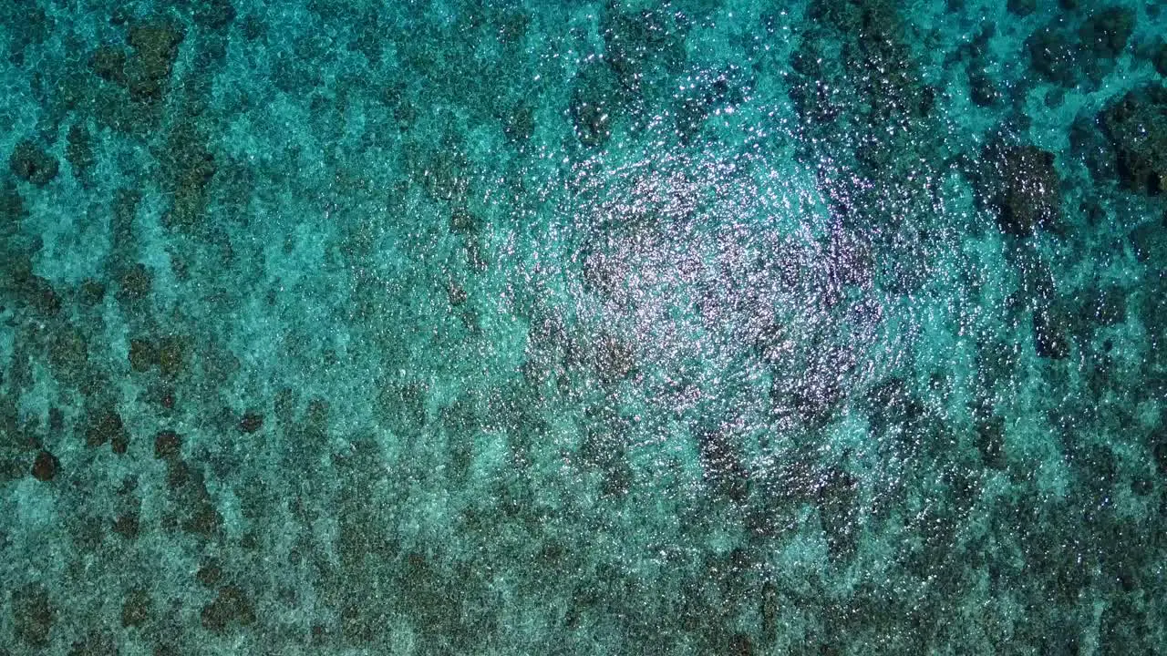 Coral in shallow crystal clear Caribbean sea from above aerial rise