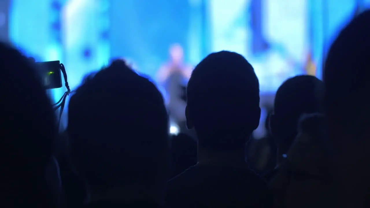 Crowd on the grand night concert