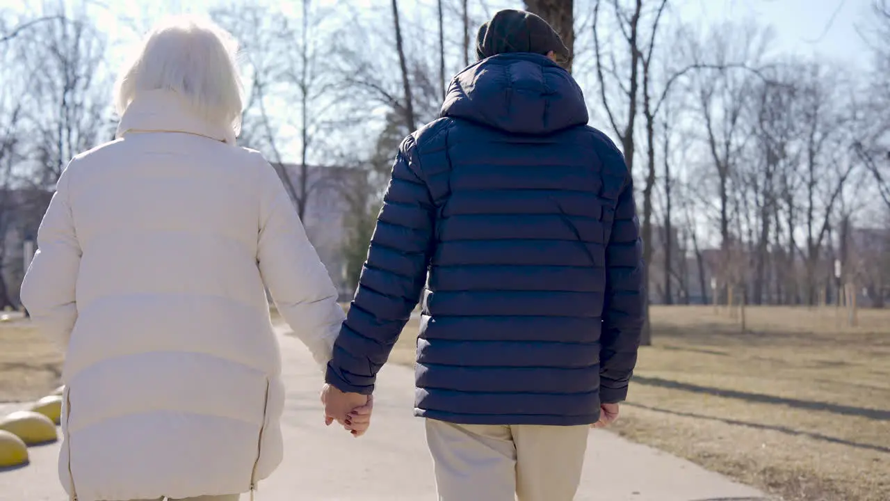 Vista Trasera De Una Pareja Mayor Tomándose De La Mano Y Caminando En El Parque En Un Día De Invierno