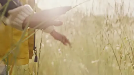 Libertad Naturaleza Y Manos De Mujer En El Campo