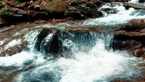 Agua De Manantial Fría Y Cristalina Que Fluye A Través De La Piedra Arroyo De Montaña