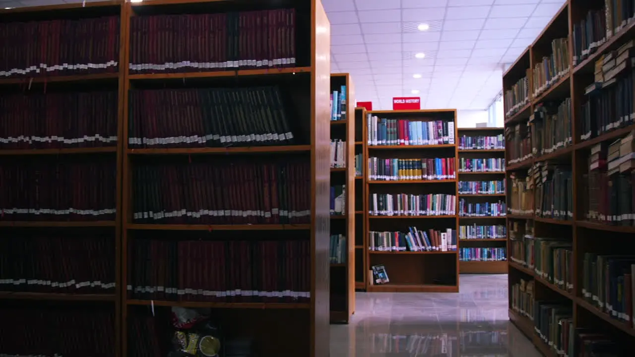 huge classic library of wood shelves books