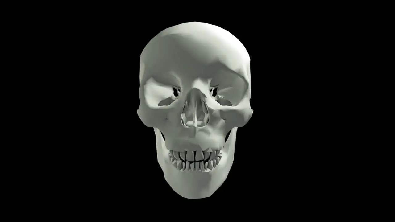 White Skull with Jaw Motion with Transparency