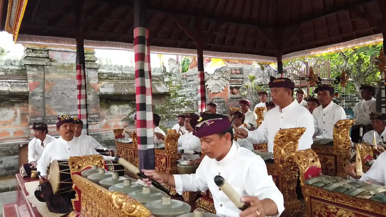 Local Balinese Orchestra Plays Gamelan Music with Drums and Percussion at Day Temple Ceremony Ubud Bali Indonesia